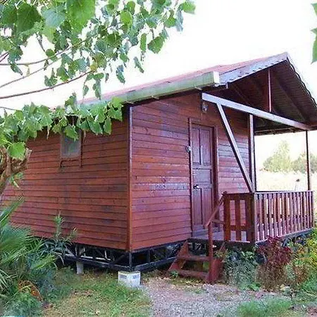 Arkadas 3*